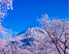 訪日外国人旅行者へのアプローチ