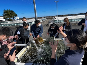 三陸・常磐水産加工品 輸出促進商談会