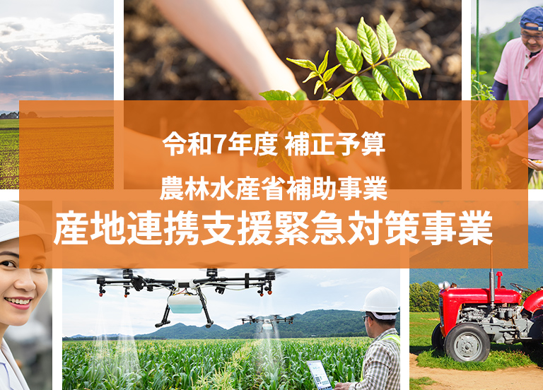 令和7年度 補正予算 農林水産省補助事業産地連携支援緊急対策事業