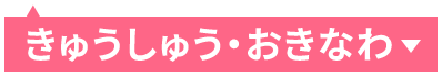 きゅうしゅう