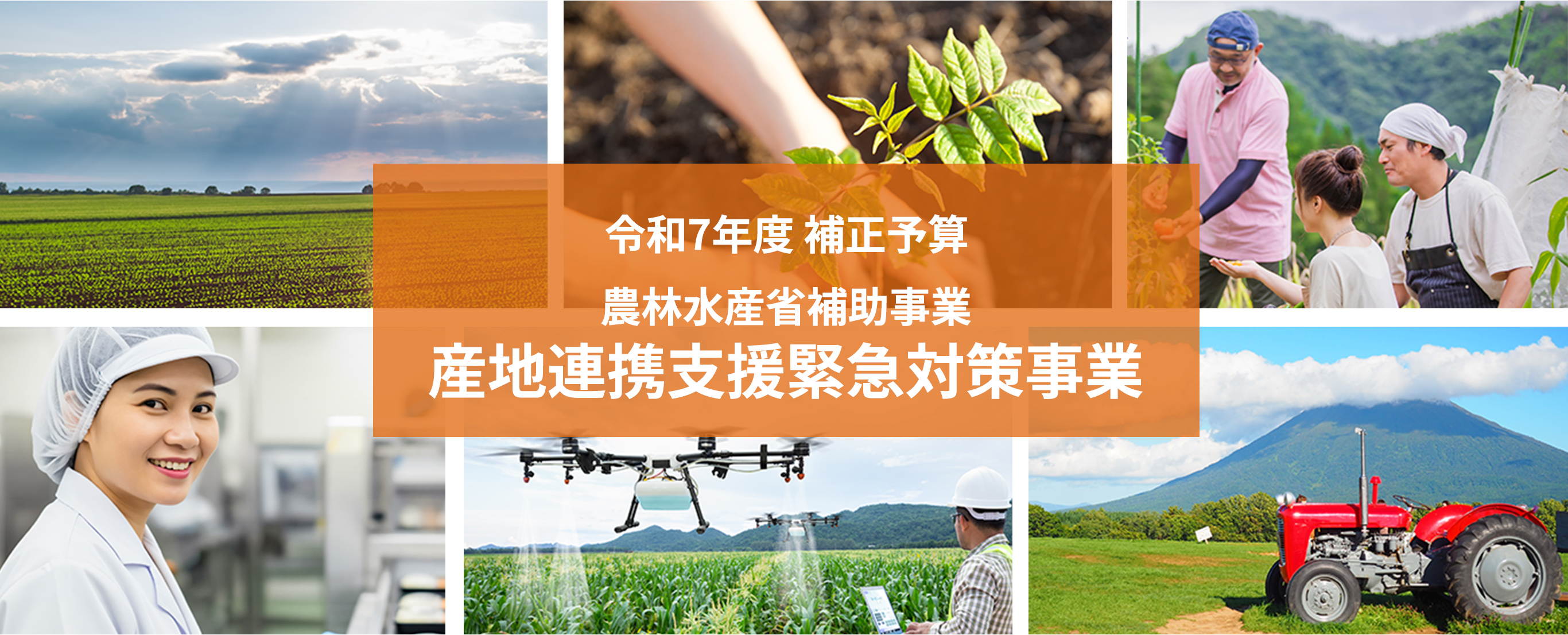 令和7年度 補正予算 農林水産省補助事業産地連携支援緊急対策事業